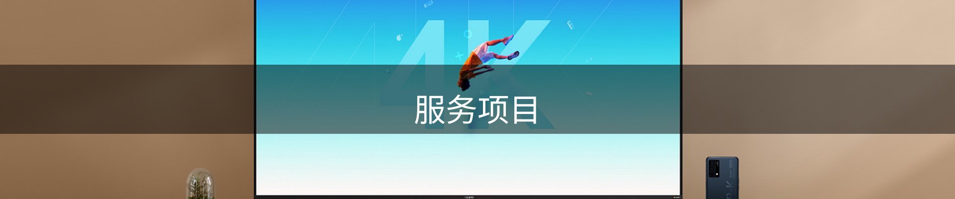 服务项目